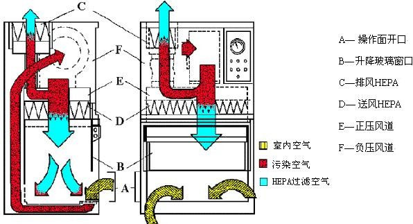 Ⅱ級A2型生物安全柜工作原理示意圖