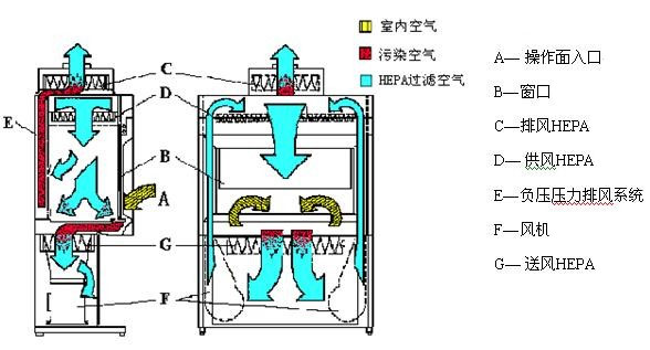 Ⅱ級B1型安全柜工作原理示意圖